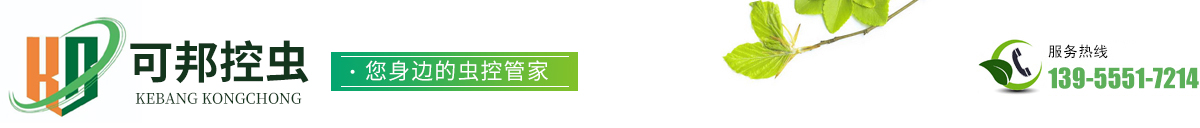 池州灭白蚁-池州灭蟑螂-池州灭老鼠|池州市可邦环境科技有限公司